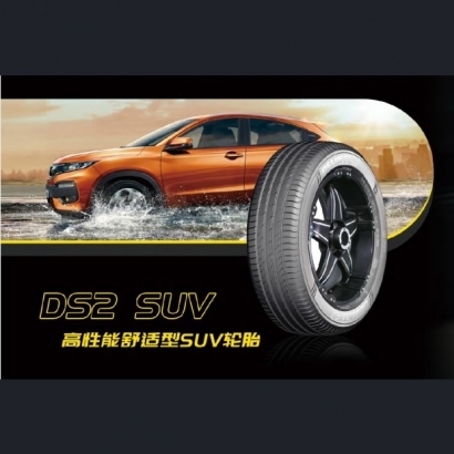 DS2-SUV.jpg DS2-SUV.jpg